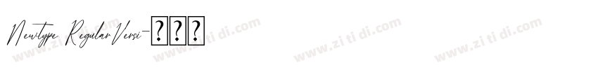 Newtype RegularVersi字体转换 Newtype RegularVersi字体转换